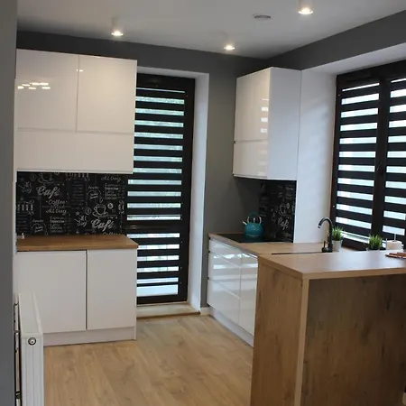 Wola Modern Black&white דירה *